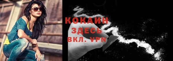 хмурый Белокуриха