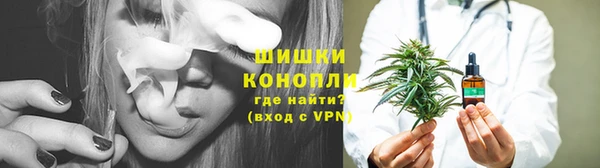 хмурый Белокуриха