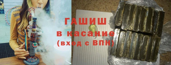 хмурый Белокуриха