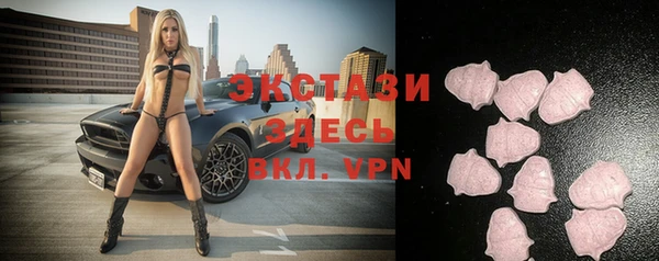 хмурый Белокуриха