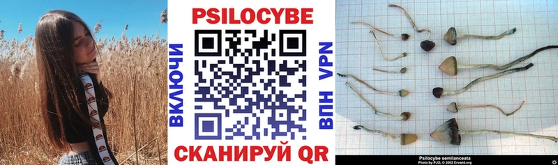 Псилоцибиновые грибы прущие грибы  Красновишерск 